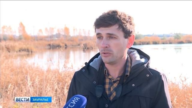 Курганцы готовы подкармливать птиц, остающихся на зимовку