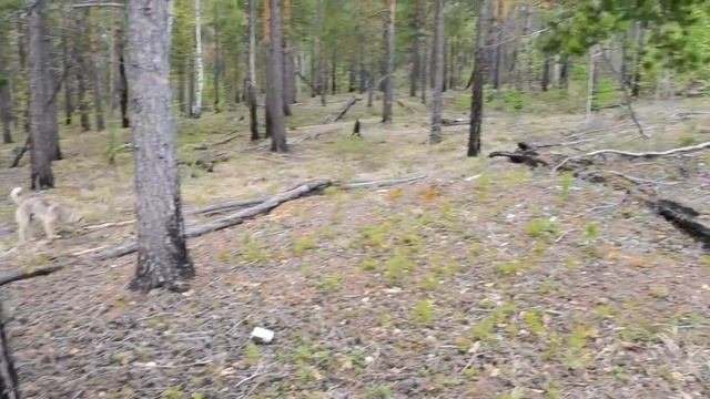 Турманские столбы и разломы 2014 год.