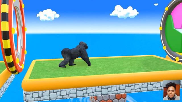 Long Slide Game With Elephant Gorilla Buffalo Hippopotamus Tiger - 3d Animal Game - Funny 3d Animal
