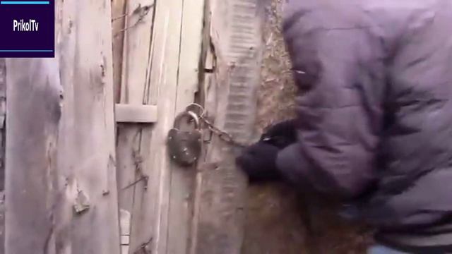 Спасение Животных_Animal Rescue.