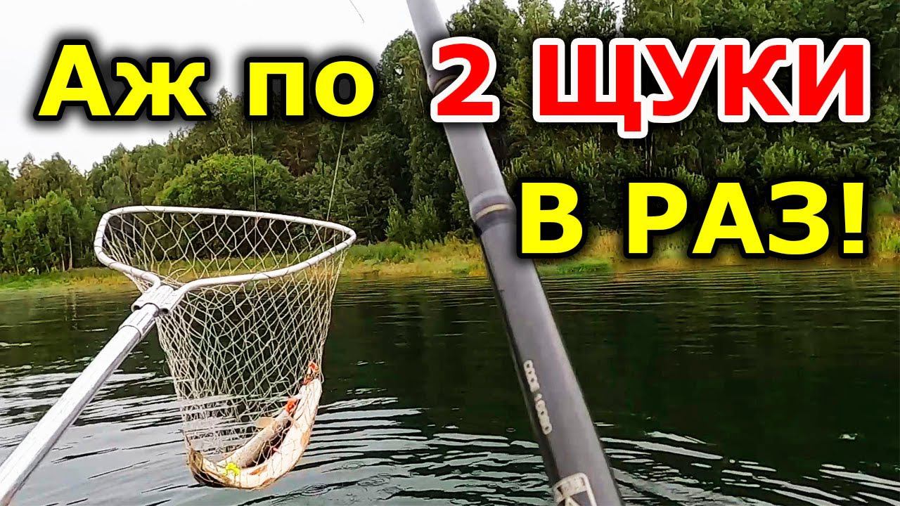 ВОТ ЭТО КЛЕВ! МОРЕ ЩУКИ! Приманки на щуку.  Виброхвост на щуку