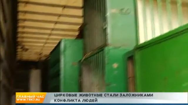Цирковые животные оказались в заложниках