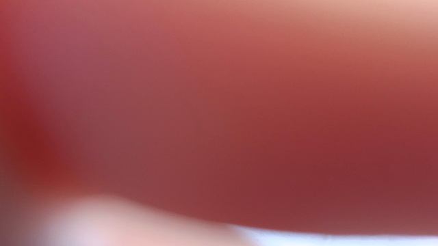 1000002536.mp4