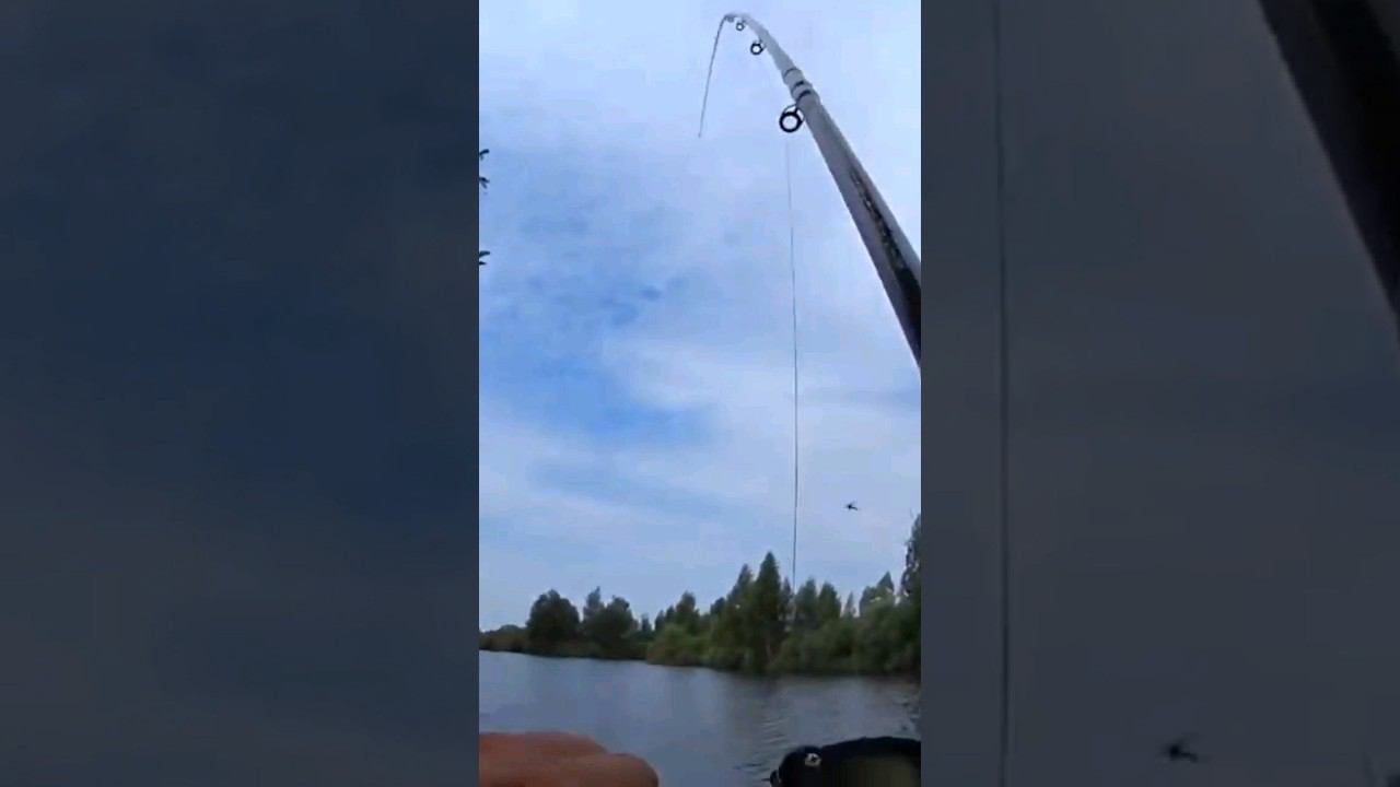 На рыбалке хорошо ! #shorts #рыбалка #фидер #fishing #feeder