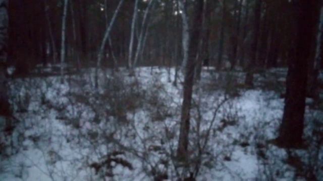 Ночёвка в лесу. Прочистил дорожку. Собирал валежник