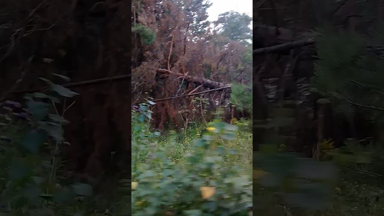 Тюменская область