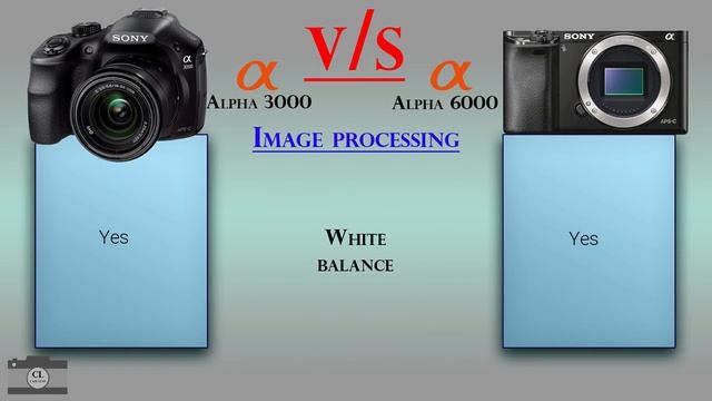 Sony Alpha 3000 vs Sony Alpha 6000