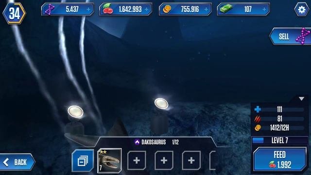 Dakosaurus