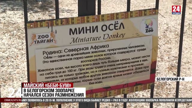 В крымском зоопарке весенний «беби-бум»