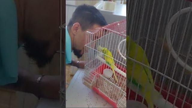 на педали
.mp4