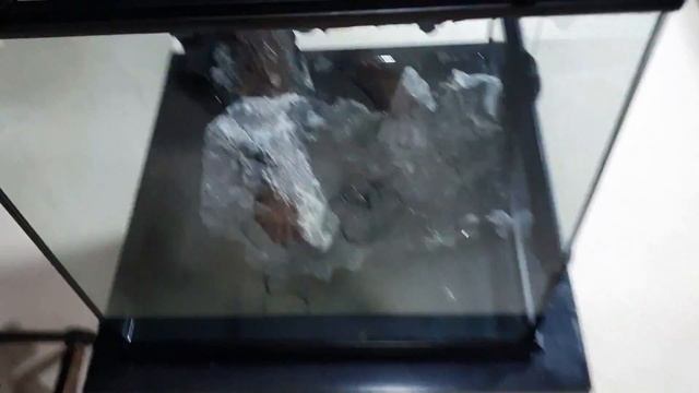 Fire Belly Toad Bioactive Paludarium Build - How To Make A Waterfall From Expanding Foam