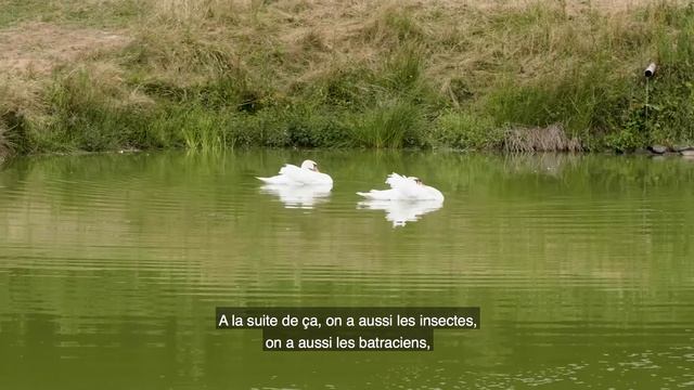 Poisson du Terroir – Aquaculture locale, production écologique – Jean Michel (Apaq-W)