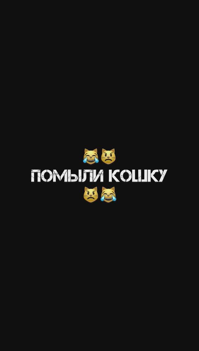 КошКомиксы. Серия 15 «Помыли кошку» #shorts