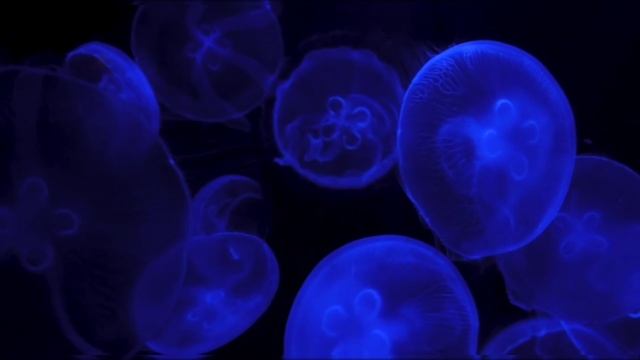 Лечебная музыка для глубокого сна, восстановления сил и медитации #релакс_музыка