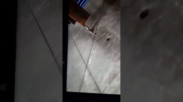 сварщик профи