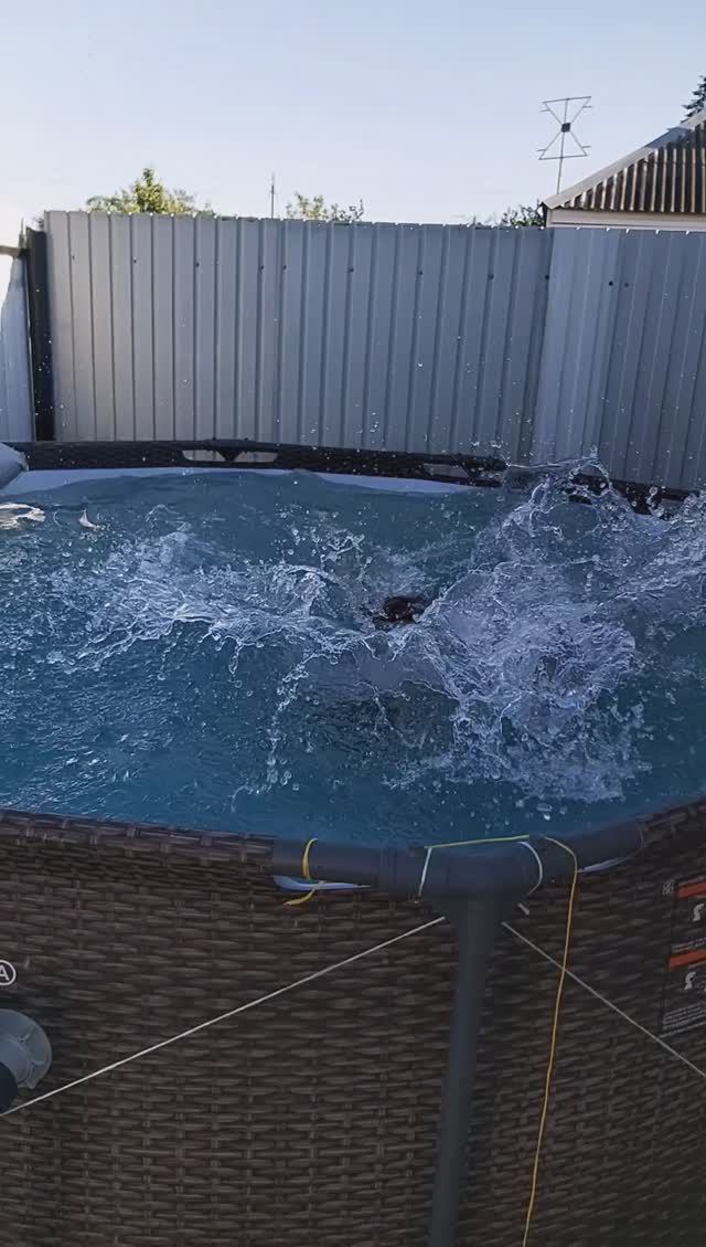 Первое купание в бассейне