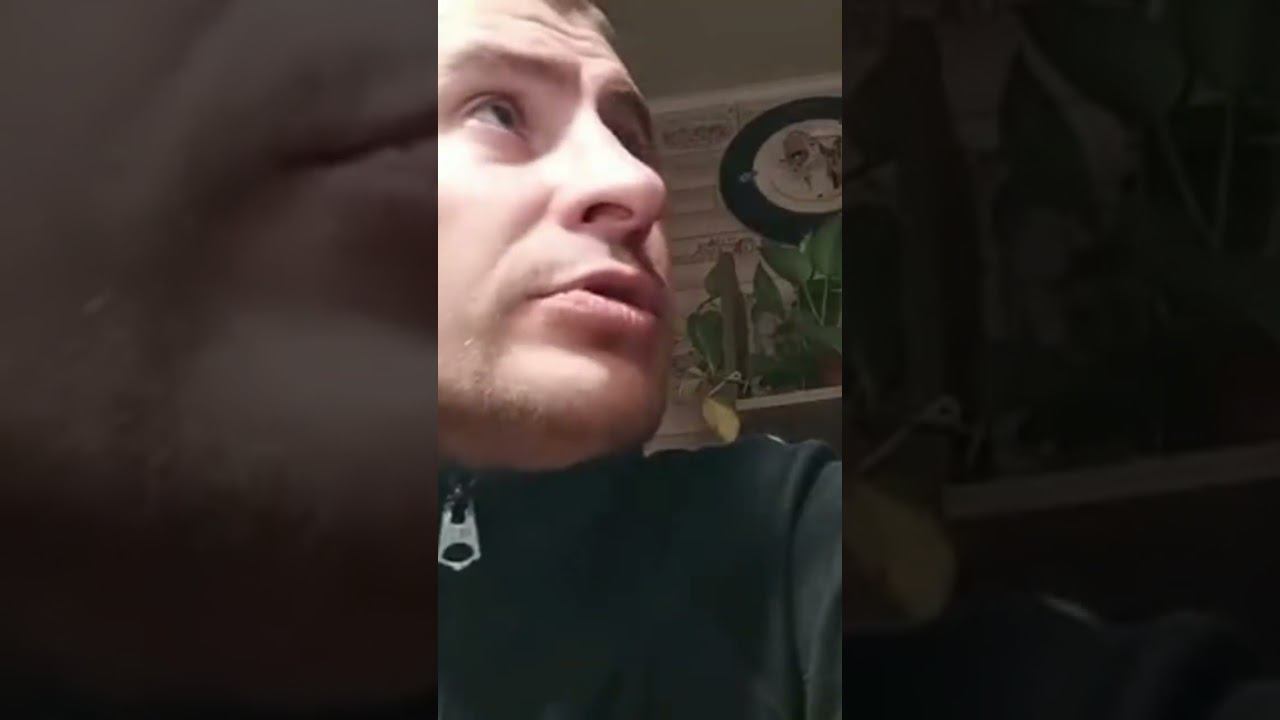 Выруби все, Кадыров звонит
