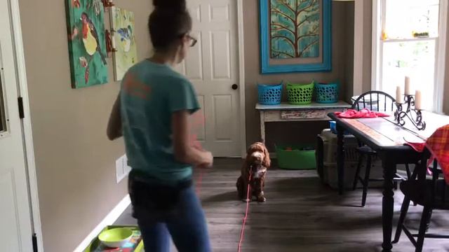 Sit Drills & Threshold Training