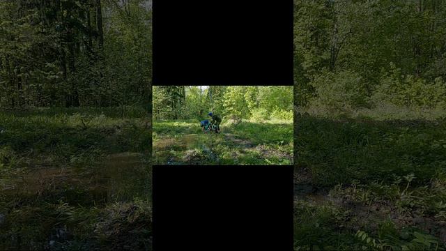 scene_output.mp4