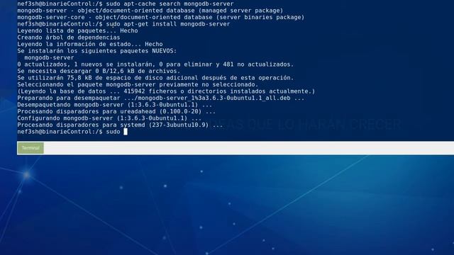 Instalación  MongoDb Server - Ambiente Desarrollo