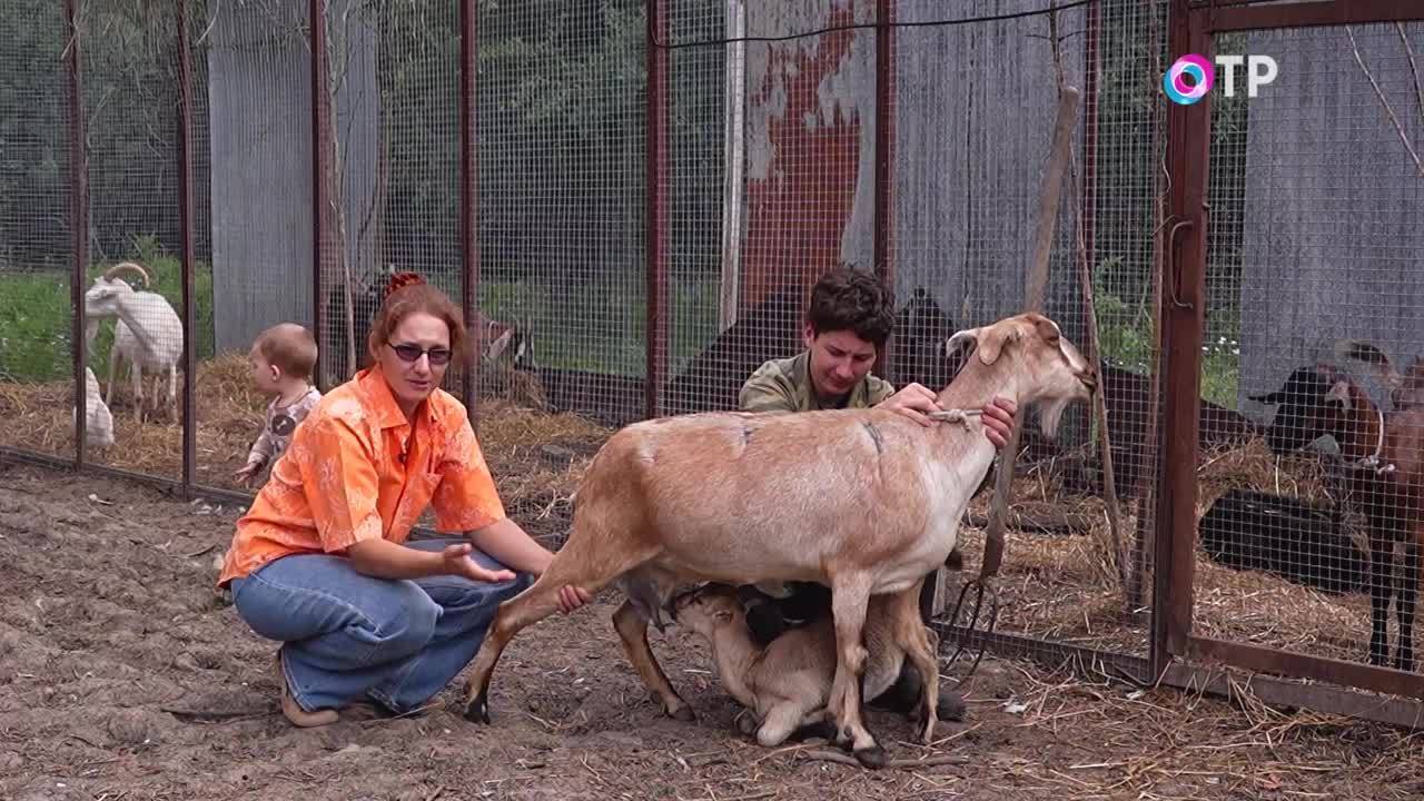 Экотуризм. Возрождение забытого поселка