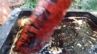 Elephant Design Batik Dyeing and Boiling Process ?❤️ (Part 02)