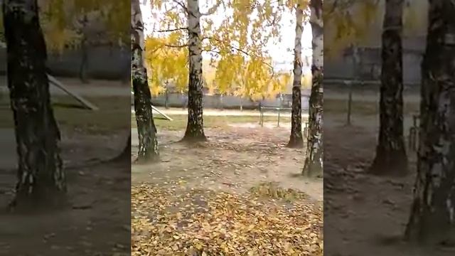 Грабли!