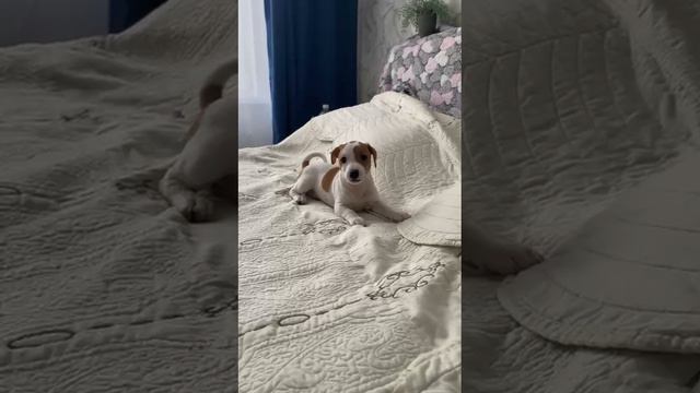 1000024039.mp4