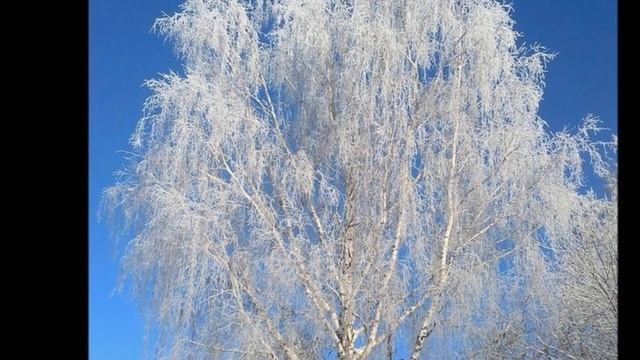 #200Фет #Фетопредставление
Фет 2020