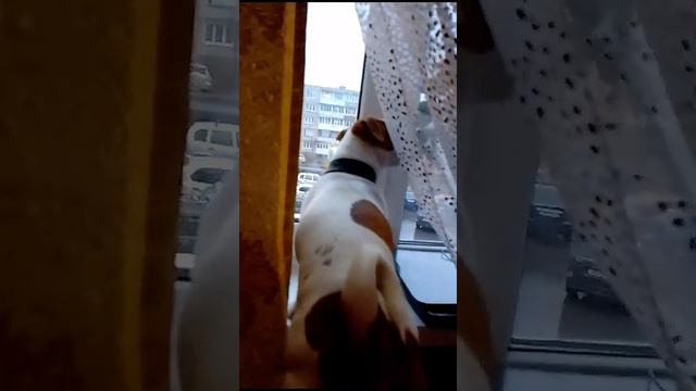 ругаем дождь,который помешал нам гулять!