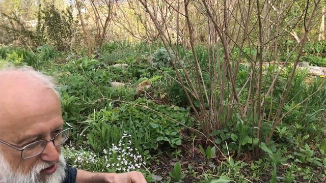 Part 3 Stephen's Salad 19. mai 2017