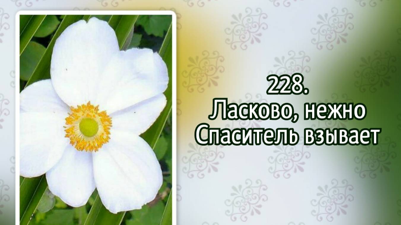 Гимны надежды 228 Ласково, нежно Спаситель взывает (-)