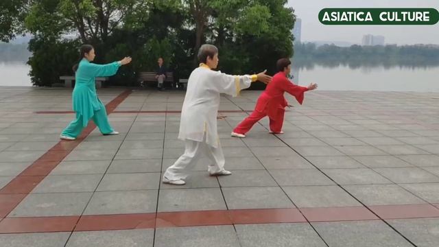 Wu Style Tai Chi 45 Form: Easy Practice
