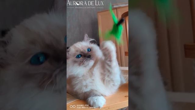 Веселый парнишка!