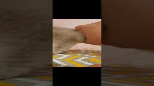 Сладкая девочка