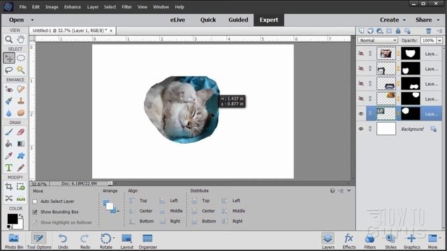 How You Can Make a Feather Edge Collage in Photoshop Elements