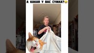 Сумка