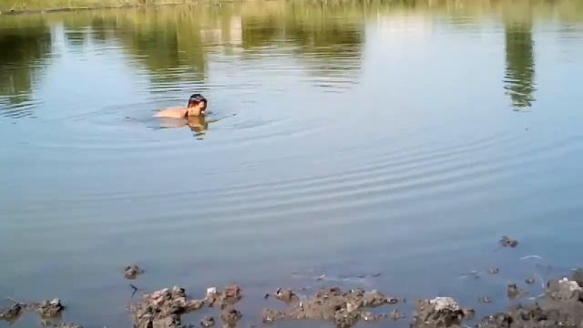 Ловля раков руками.