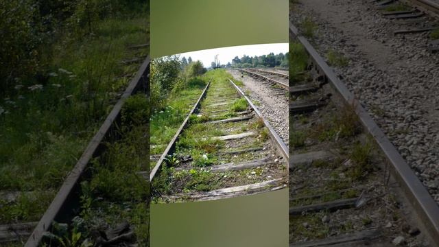 V категории больше нет в России