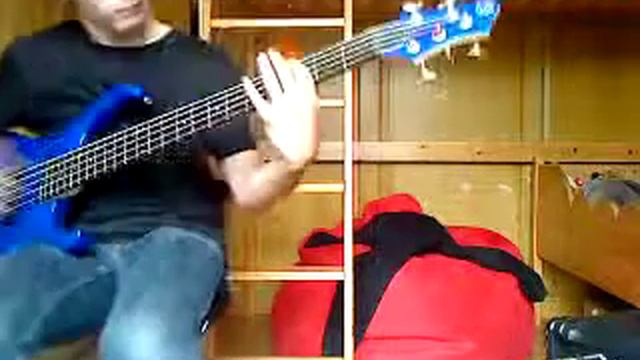 Bass slap of flurin with Ibanez