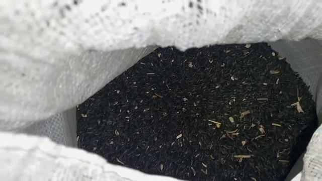 ПРОЦЕСС ПОШОЛ! ДАВИМ МАСЛО ИЗ СЕМЕЧКИ ПОДСОЛНЕЧНИКА.