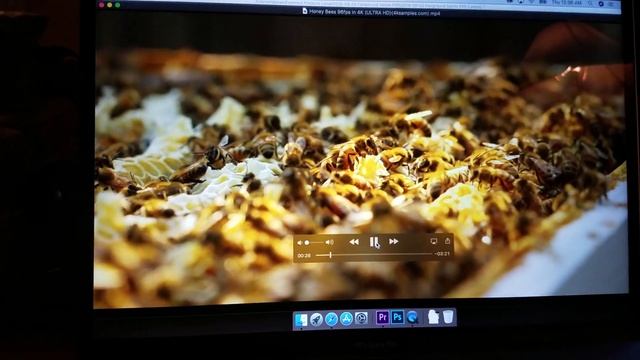 Macbook pro 2018 screen flashing 3