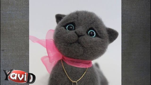 Валяние британский котик