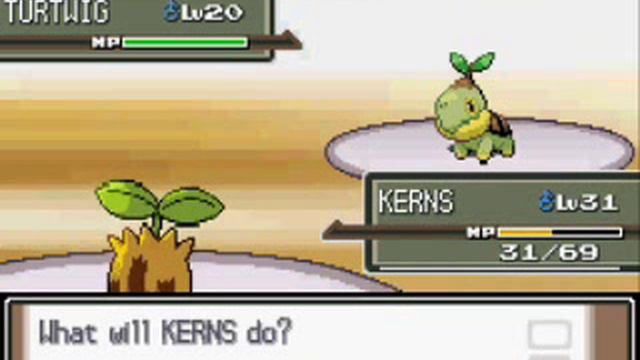 Sunkern vs. Gym Leader Gardenia!