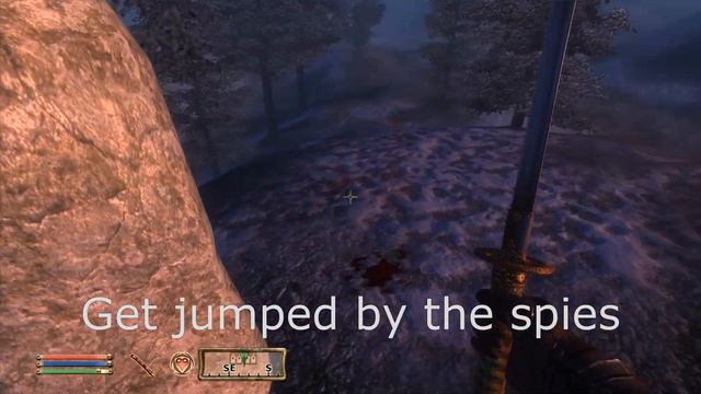 Beating Oblivion with a Draw Distance of 1