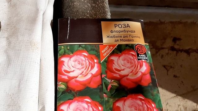 Весна 2020. Интернет магазин Розы Вашей мечты.