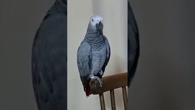 с кем общалась ночью?.. Что то Кушать...