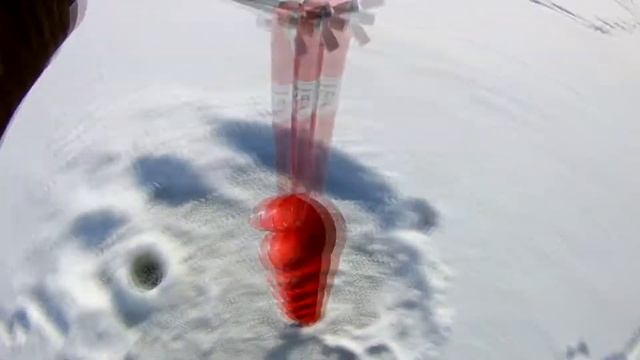 РЫБАЛКА С СЕМЬЕЙ, ТЕСТ КАМЕРЫ СБАЗОВЫМ ЗВУКОМ