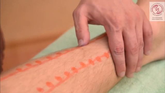 Точечный массаж. 4 урок. Массаж нижних конечностей