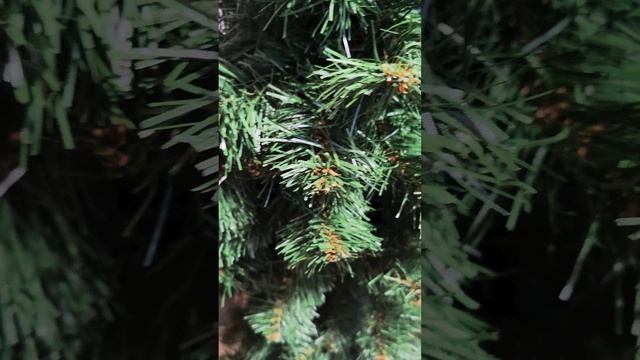 Video_20231102184022994_by_VideoShow.mp4